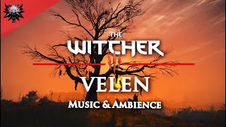 The Witcher 3 - Velen - Relaxing & Emotional Music and Ambience #relax #study #meditation