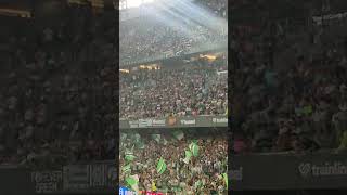 Impresionante afición bética en el Benito Villamarín!! Betis-Girona. 15-08-24 #realbetis #football