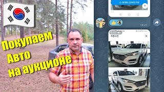 Покупаем недорогое авто на аукционе в Ю. Корее. Можно ли выгодно купить автомобиль для себя?