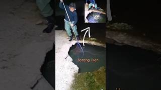 beginilah bentuk sarang ikan di alam #fishing #ikan #fishingequipment #fish #faktaunik #trending