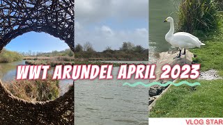 WWT ARUNDEL 2023