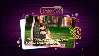 TOP 10 - CURIOSIDADES INCRÍVEIS SOBRE CACHORROS