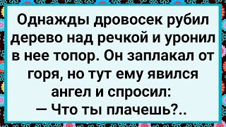 Как к Дровосеку Явился Ангел! Большой Сборник Свежих Смешных Жизненных Анекдотов!