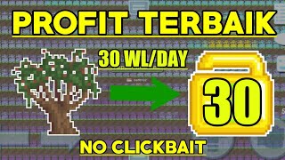 TIPS PROFIT DARI PEPPER TREE (BEST PROFIT) 2021 | GROWTOPIA INDONESIA