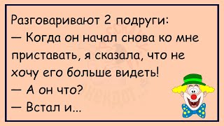 🤡Разговаривают Две Замужние Женщины...Большой Сборник Улётных Анекдотов Месяца,Для Супер Настроения!