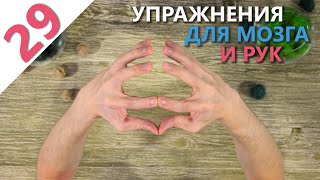 Упражнения для развития мозга и рук (Синхронизация полушарий мозга)