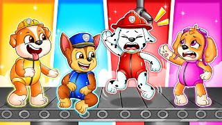 Paw Patrol Brewing Cute Baby Factory Part 3 - Funny Life Story - Ultimate Rescue | Rainbow Friends 3