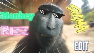 Rizz Monkey [4K] [EDIT] | {Remake}