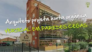 Arquiteto projeta horta orgânica vertical em paredes cegas