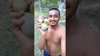 Mango 🥭🥭🥭.. Mini Vlogs #minivlog #vlog #shortvideo #shorts #short