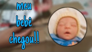 A chegada do meu bebê reborn + o que veio com ele!!