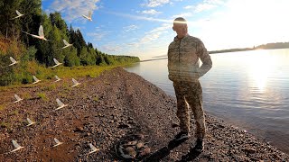 Рыба очень хочет есть! Голодная рыба съела весь прикорм! Нашествие странных насекомых!