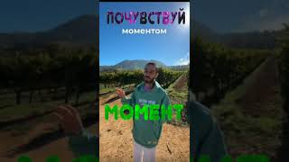 💎КАК за 1 МИНУТУ  УЗНАТЬ 💎МОМЕНТ: техника Анара Дримс #пробуждение #пробуждение  #психология