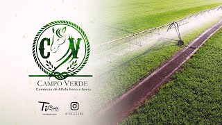 CAMPO VERDE COMÉRCIO DE ALFAFA FENO E AVEIA - 4K UltraHD