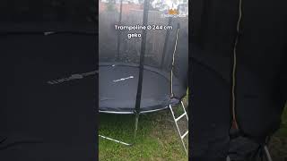 Trampoline 244cm met veiligheidsnet zwart