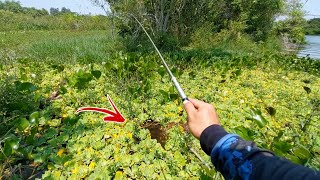 Abri um pequeno espaço no meio da vegetação e olha o que aconteceu, pescaria