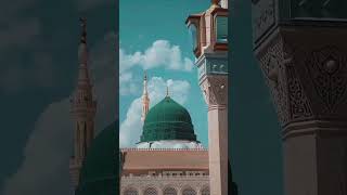 Mere Aaqa Ki wiladat | Rabi Ul Awal Bayan | #allah #islamicstatus #shorts #viralshorts