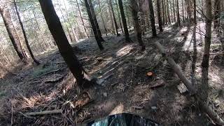 Downhill run at Devils Glen on Specialized Kenevo Expert (e-dh bike)