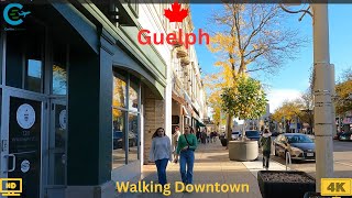 Walking Tour Wyndham St. Guelph, Ontario. Canada | Virtual Tour Wyndham St. in Guelph, Canada