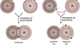 Types of bonds