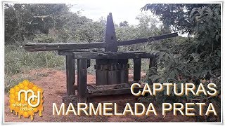 Capturas de Marmelada Preta... Olhe o Engenho!