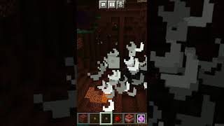 Nether obileration pt.2 #minecraft