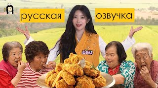 СОЁН НАКОРМИЛА БАБУЛЕК ЖАРЕНОЙ КУРИЦЕЙ // русская озвучка Нина Ярцева