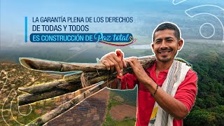 💜 Apuestas de la ARN en la construcción de Paz