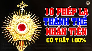 10 Phép Lạ Thánh Thể Nhãn Tiền Có Thật 100% - Nghe Để Thấy Tình Yêu Của Chúa