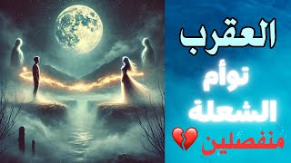 برج العقرب ♏️ توأم الشعلة 🔥🔥 منفصلين 💔 ما مصير هذه العلاقة 🔮