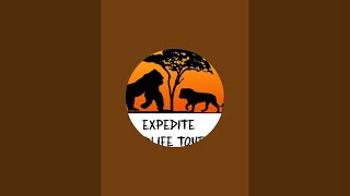 Expedite Wildlife Tours is live