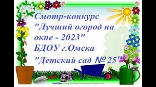 БДОУ г.Омска "Детский сад № 25" Огород на окне - 2023