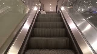 ThyssenKrupp Escalators at Zara in Swansea