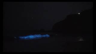 Bioluminescence in Laguna Beach! (2021)