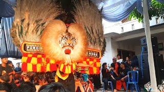 TRENDING !!SOLAH TERBAIK DADAK MERAK REOG PONOROGO BIKIN PENONTON KAGUM