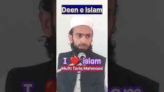 Deen e islam | i love❤ islam | mufti tariq mahmood khan raheemi #deeneislam #viral #shorts