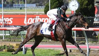 Moonee Valley Racing Preview (G2) John F. Feehan Stakes Day (9/9/23) | Sky High Horse Racing