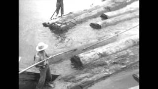 Shizuichi Tanaka inspects the sawmill