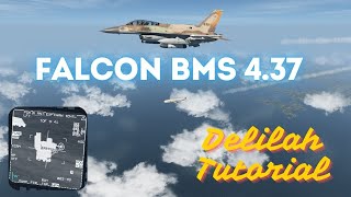 Falcon BMS 4.37 Tutorial - Delilah missile