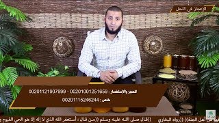 مقتطفات برنامج الإعجاز فى النحل\الخطوة الطبيعية للعسل داخل الخلية\إختصاصى الطب التكميلى أحمد الصاوى.