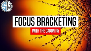 Focus Bracketing with the Canon R5 | Macro Photography