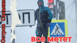 Метель. Третьи сутки. Сахалин. 25.01.24.