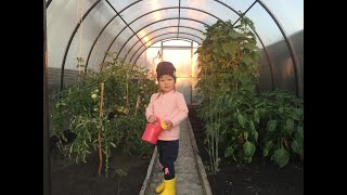 Лера поливает овощи/Видео для детей/Lera in the garden