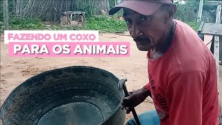 @ o homem das aventuras está fazendo uma coxeira pra dá água a os animais