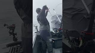 Three fish on!! Good day of fishing caught on video. #shorts #fishing #ocean #coho