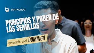 Principios y Poder de las SEMILLAS | Beatmundo