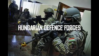 Hungarian Defence Forces 2020