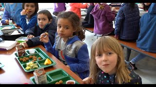 Kindergarten School Lunch