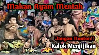 Aksi Bocil ( Mas Hafiz ) Makan Ayam Mentah Jarkep Karya Muda tampil di Tanah Datar Batu Bara