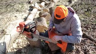 Confronting the Mess: Uncovering the Untold Truth About Storm-Damaged Trees